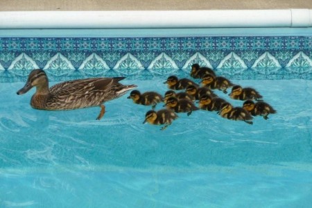 Mom and Children (Summer 2009)