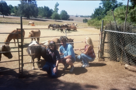 Cherry Valley- Mini Horse Ranch