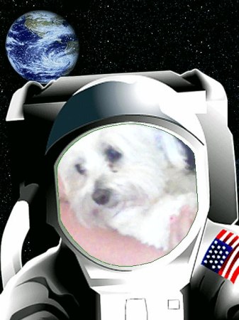 sam the dog in a space suit.(lexi did it)