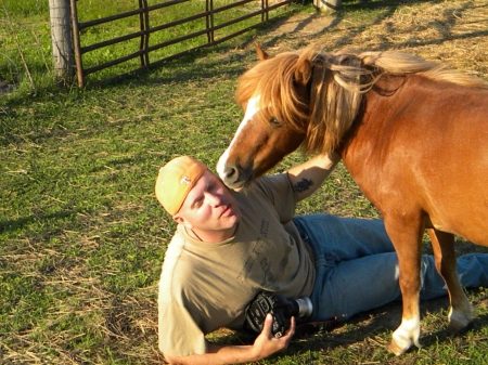 mini horse kisses