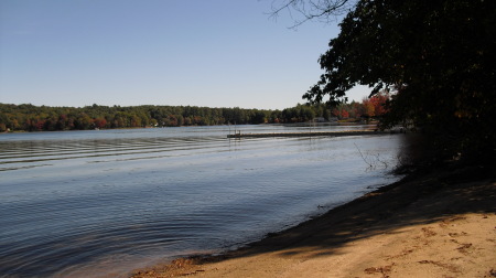 front yard