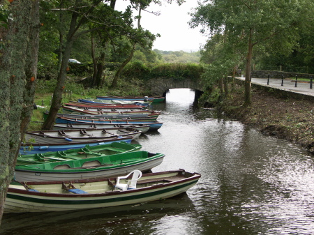 Moored boats near Kilarney Castle