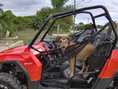 Sadie's new ATV