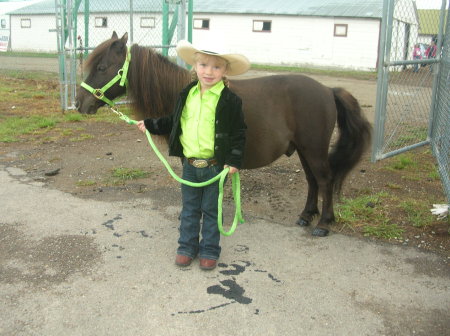 Dresden and pony at the fair