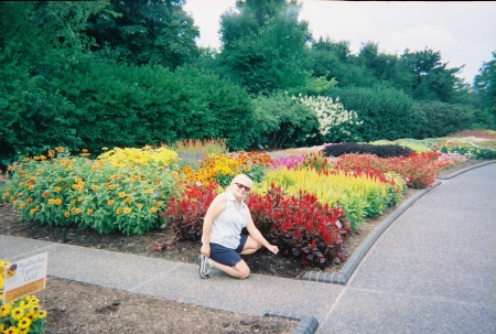 st louis botanical gardens