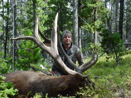 My 2009 Elk
