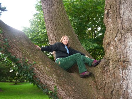 Blarney tree in Ireland, County Cork