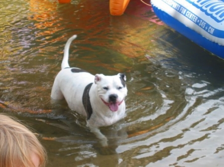 PEPPER THE TERROR OF LAKE JAMES