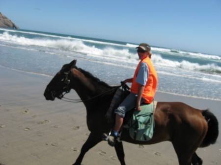 Horseback riding along a beautiful NZ beach