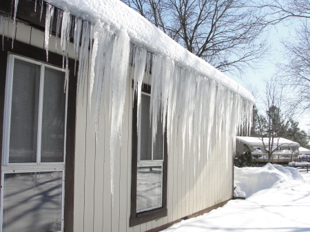 Feb 12-more icicles