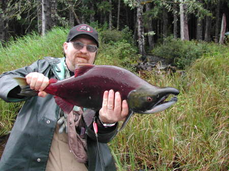 Sockeye Salmon from 2005 Alaska trip