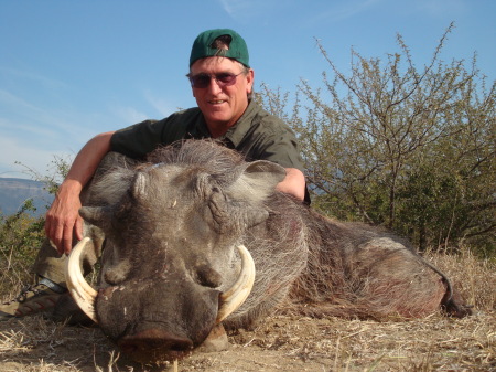 Large Male Wart Hog....2009