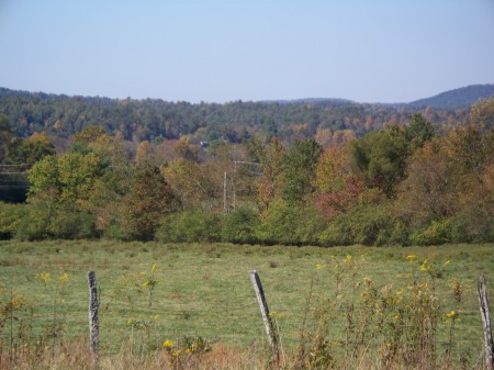 At Skeenah Gap property