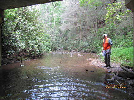 Inspecting Forest Service Bridges in North GA