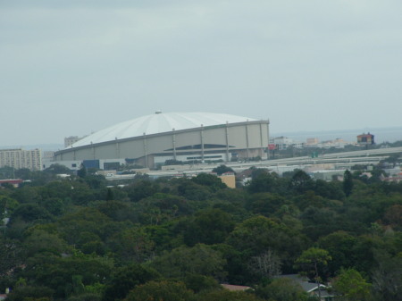 Tropicana Field Home of the Tampa Bay Rays