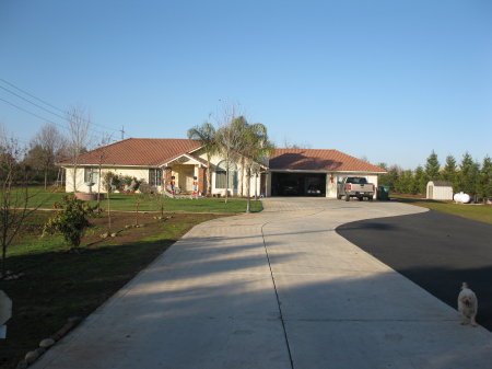 Front Yard  2009