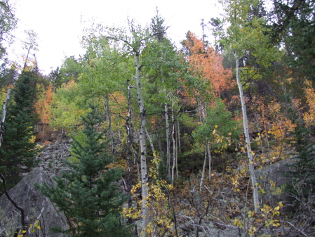 '09 fall Rockies