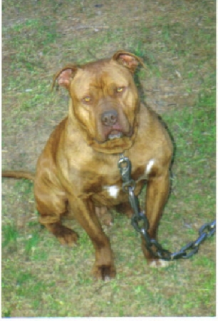 chubby ''sissy's pit''v 14mnths old march o8