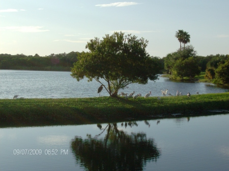 Long Bayou