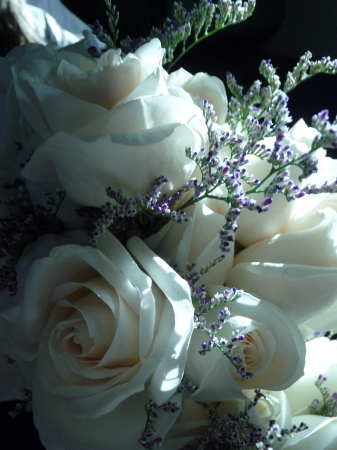 AllysonTorrisi's White Roses 4 ceremony
