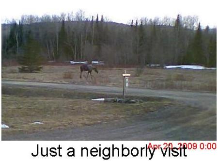 One of the neighbors