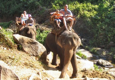 Taking an Elephant ride in Thailand