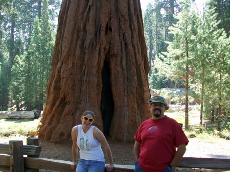 My Daughter and me in the Sequoia's