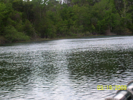 silver springs 043