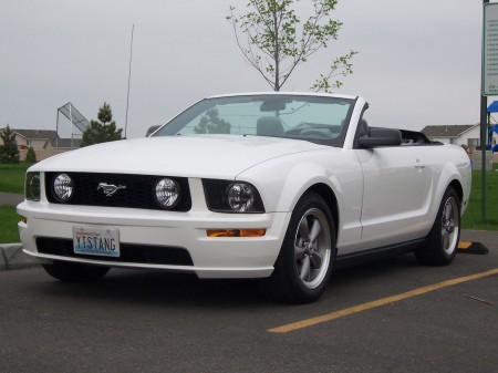 Tami's Mustang
