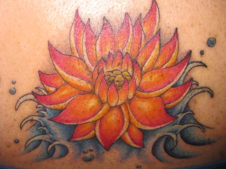 My lotus flower