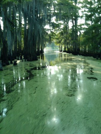 Caddo Lake on day off