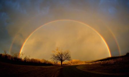 Under the Rainbow