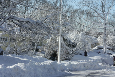 Snow2-22-2010