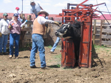 2009 Branding Pfeiler Ranch 006