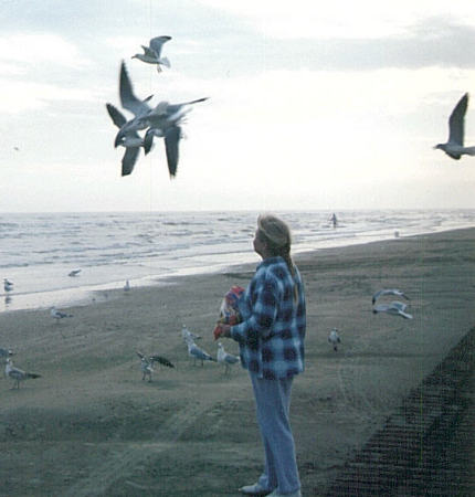 On the beach