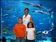 Chattanooga aquarium
