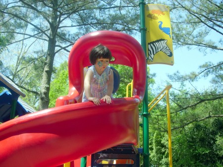 Kyra on the slide at Atlanta Zoo