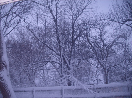 winter 2009 008
