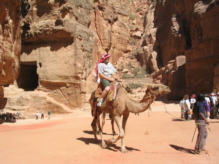 Camel Jockey