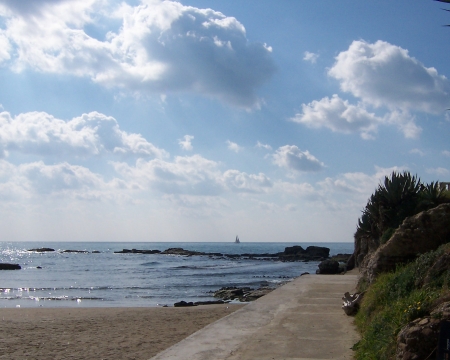 Western coast shoreline