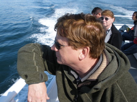 Whale watching in Puget Sound, 2008