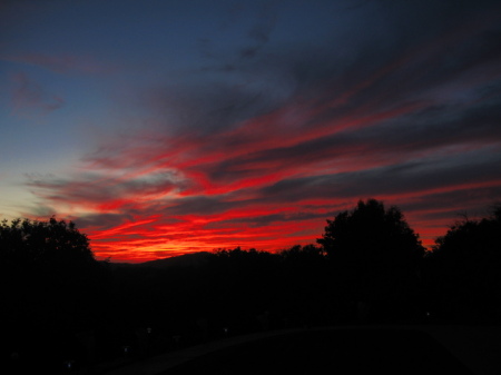 Back yard sunsets