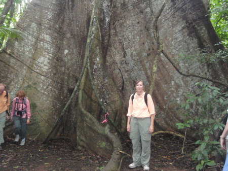 Hike to old tree