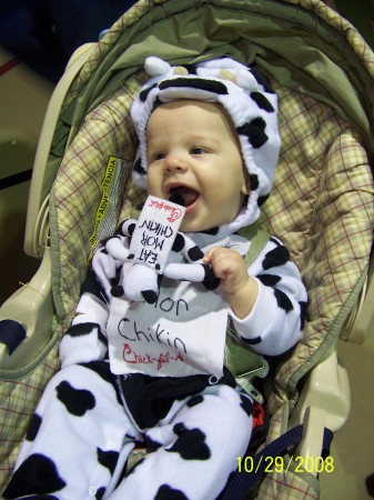 Eat Mor Chikin Cow