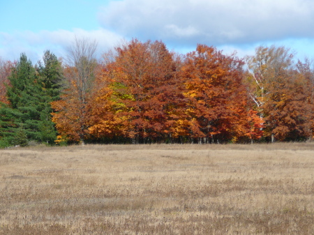 Fall in Northern Michigan