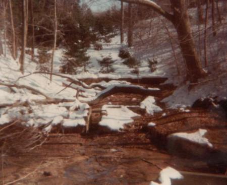 old fish Hatchery in Smithtown around 1975