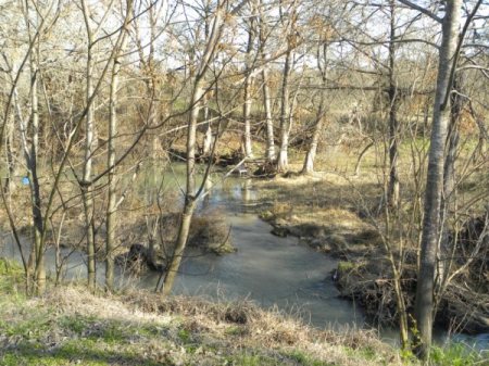 Castroville Regional Park Winter time