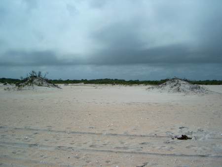 Assateague Island Beach