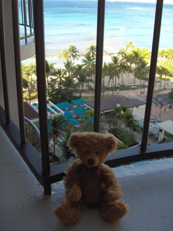 Jean Claude admires the view of Waikiki