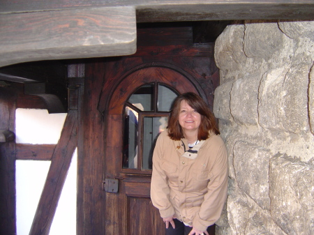 2008 in Transylvania "Dracula Castle"